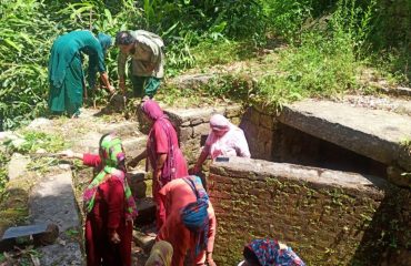 विश्व पर्यावरण दिवस की झलक