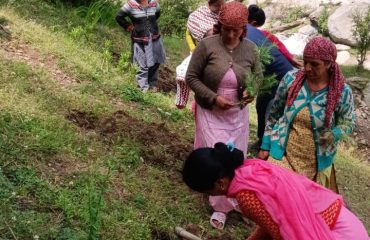 विश्व पर्यावरण दिवस की झलक