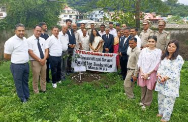 Glimpse of Plantation Drive