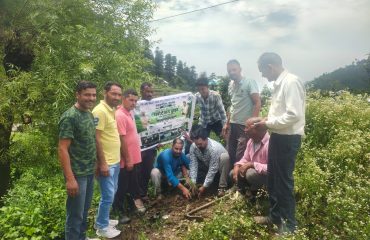 Glimpse of Plantation Drive
