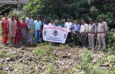 Glimpse of Plantation Drive