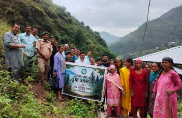 Glimpse of Plantation Drive