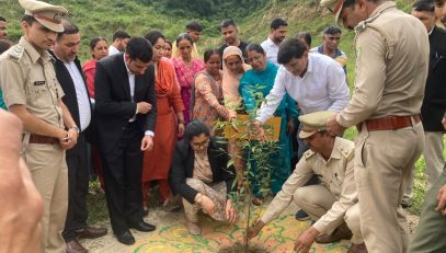 Glimpse of Plantation Drive