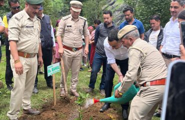 Glimpse of Plantation Drive