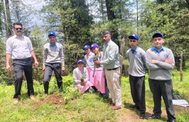 Glimpse of Plantation Drive