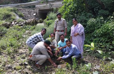 Glimpse of Plantation Drive