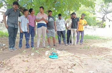 Setup water irrigation to the garden