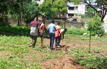 Students setup the gardening boundaries