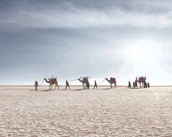 rann of kutch Image