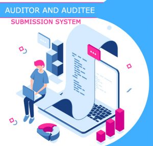 Auditor and Auditee System