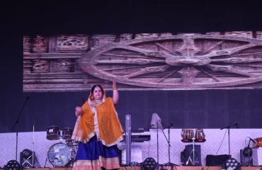 Stage Performance at the Purple Fest (13)