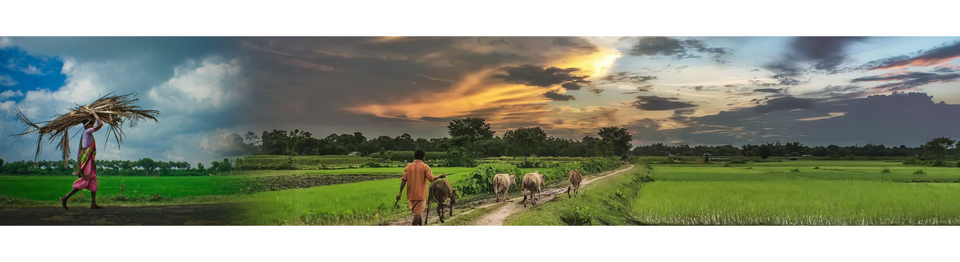 ग्राम विकास