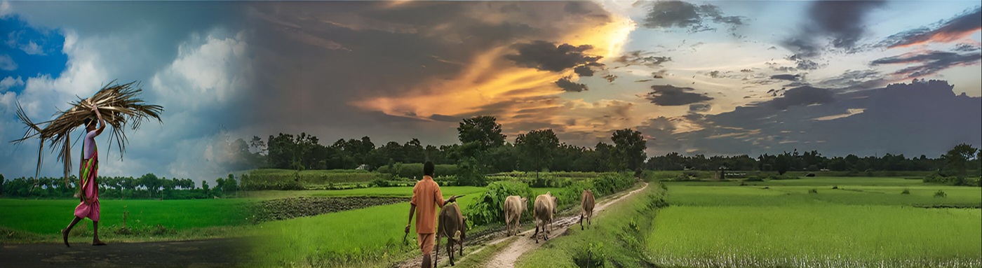 ग्रामीण जीवनमान