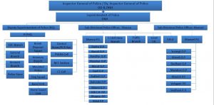 Organisation Structure DNH