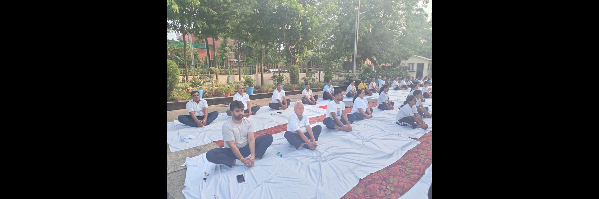 International yoga day