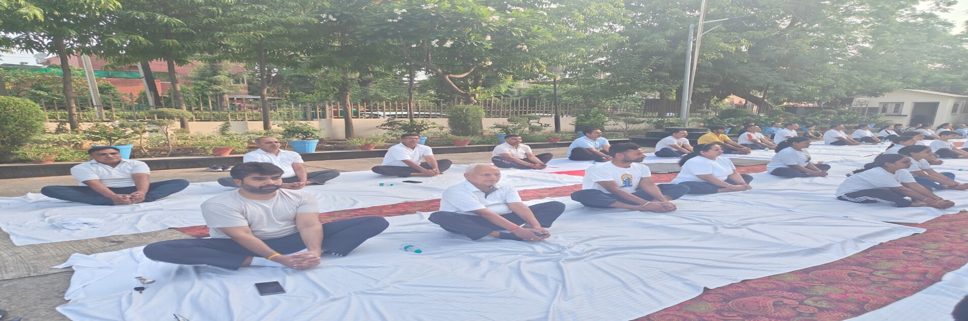International Yoga Day Program