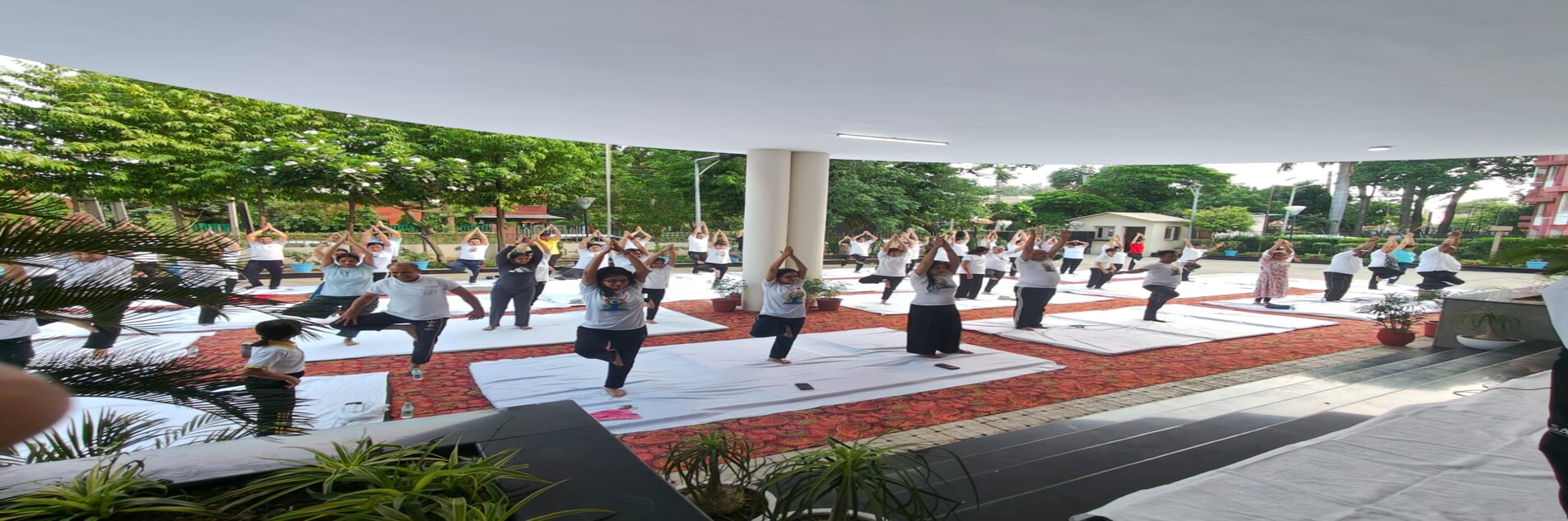11th International Yoga Day Program