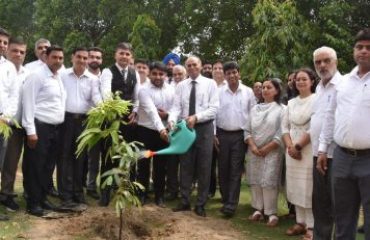 Tree Plantation Drive held in Haryana
