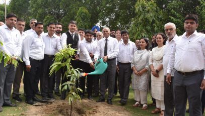 Tree Plantation Drive held in Haryana