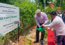 Mega Tree Plantation
