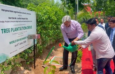 Mega Tree Plantation