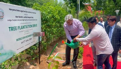 Mega Tree Plantation