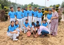 Mega Tree Plantation