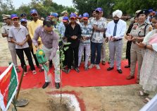 Mega Tree Plantation