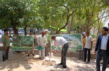 World Environment Day