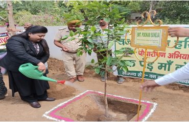 World Environment Day