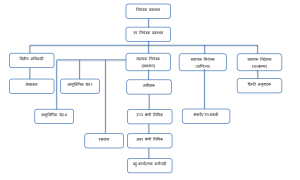 संगठन चार्ट