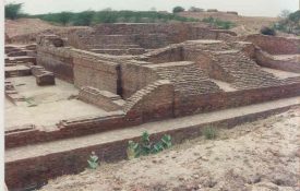 AGROHA
