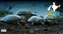 Kajal Heri Village Pond 1;?>