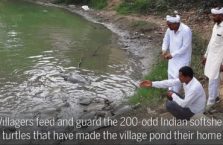 काजल हेरी गांव तालाब 2;?>