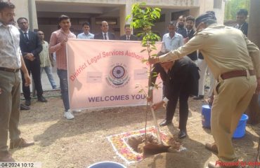 Tree-Plantation-By-PDJ