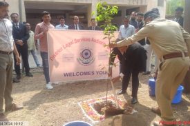 Tree Plantation