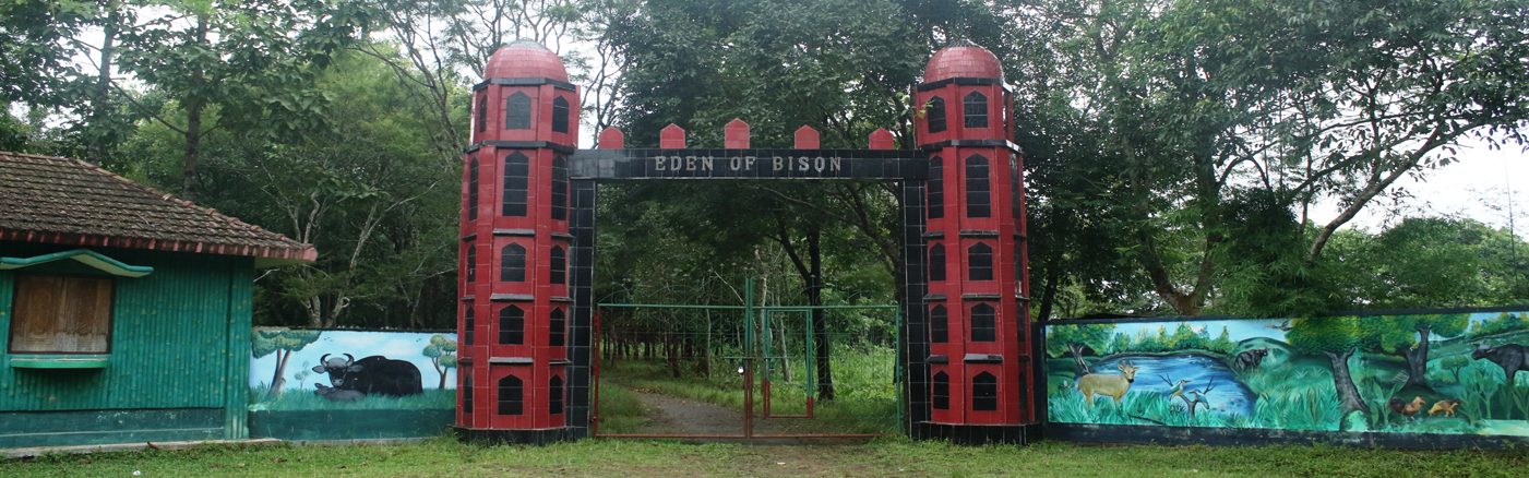 Bison Park