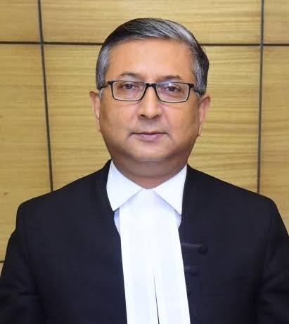 Portfolio Judge