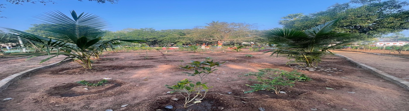 District Court Garden