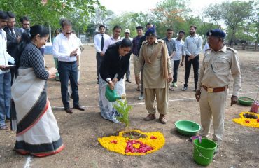 Tree Plantation on World Environment Day by Honourable Principal District Judge Ms.N.C.Raval