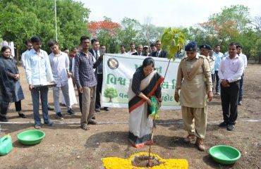 Tree Plantation on World Environment Day by Honourable 2nd Additional District Judge Mrs.P.C.Chauhan