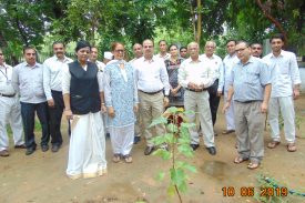 Tree Plantation Program gandhinagar