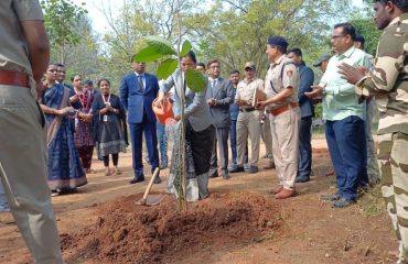 Planting of a Sapling by Hon’ble Judge Smt. K G Shanthi, Prl District & Sessions Judge, Ballari .