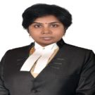 csj (1)