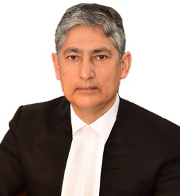 The Honourable The Chief Justice