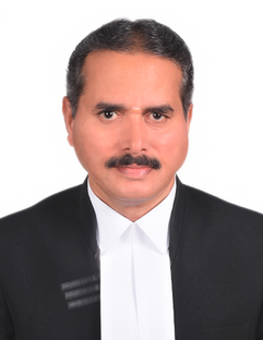 Honble Mr Justice P Vadamalai