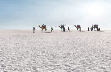 rann utsav white