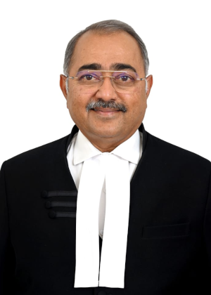 Hon’ble Justice N S Sanjay Gowda