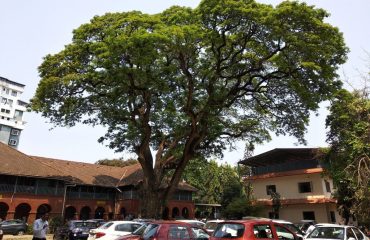 District Court Complex Parking Ground