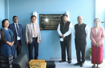 Stone Unveiling